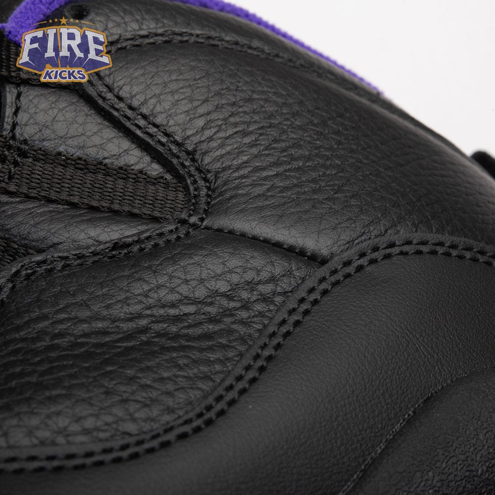 Air Jordan 10 OG Sacramento Kings 130209-051 Men's
