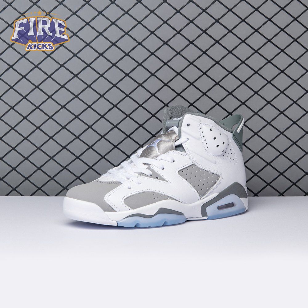 Air Jordan 6 Cool Grey CT8529-100 Men's