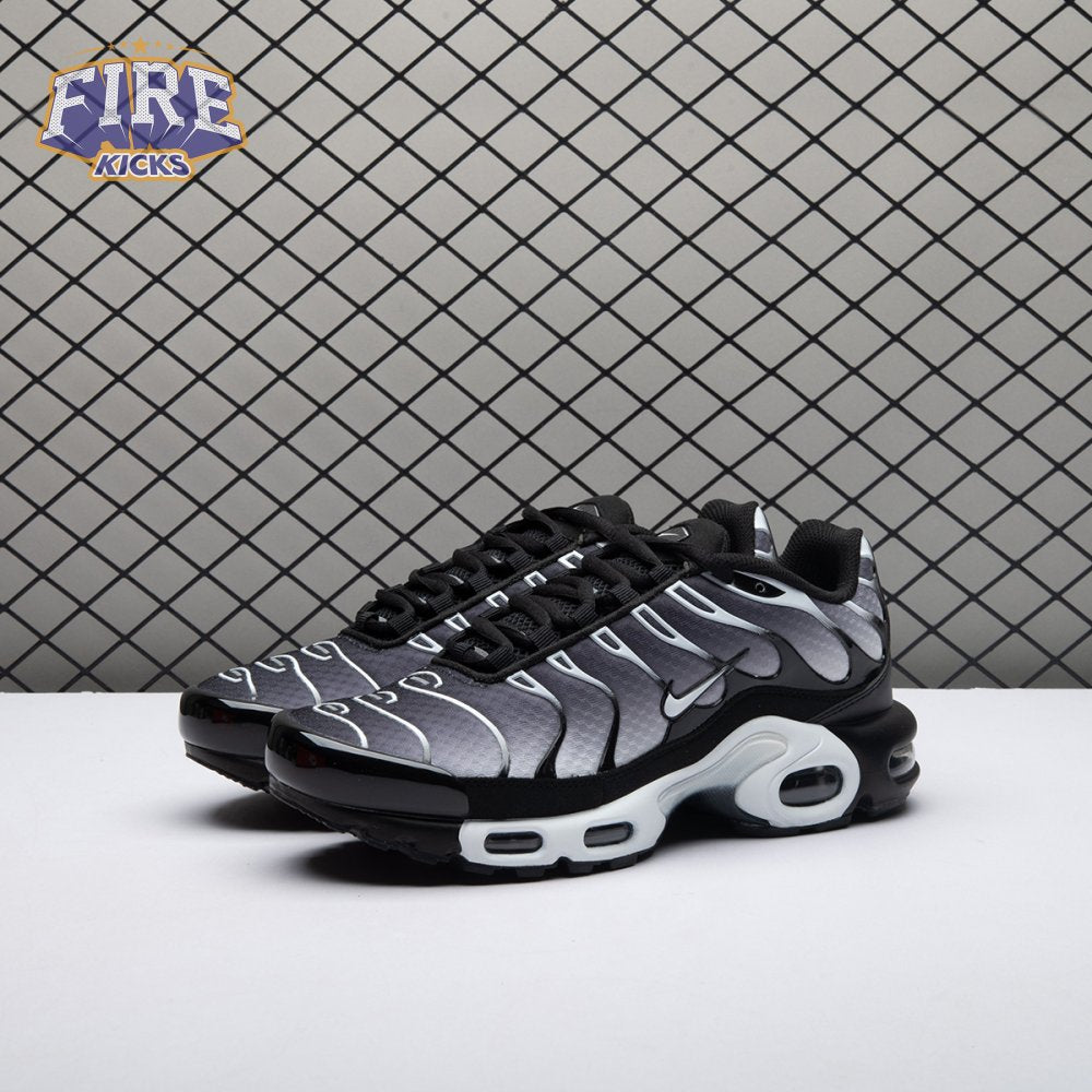 Nike Air Max Plus Black Silver White DM0032-003 Unisex