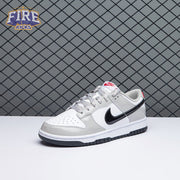 Nike Dunk Low Light Iron Ore DQ7576-001 Unisex