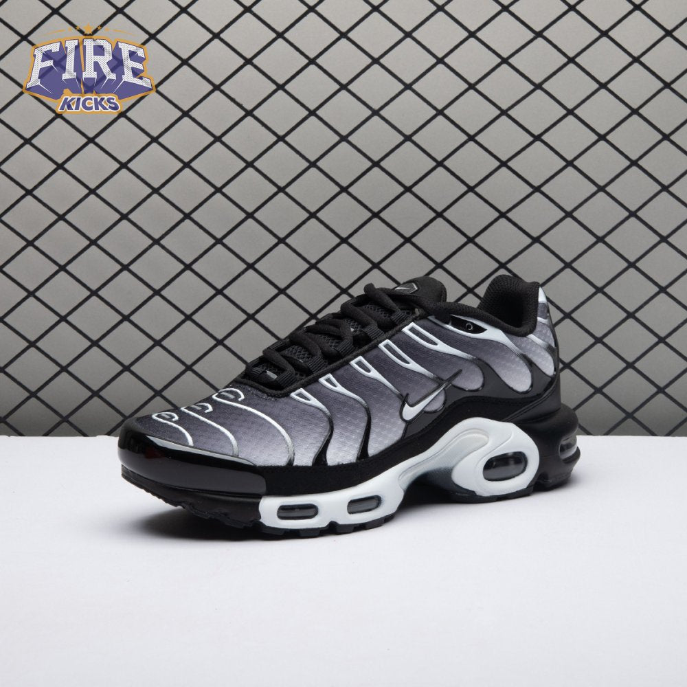 Nike Air Max Plus Black Silver White DM0032-003 Unisex