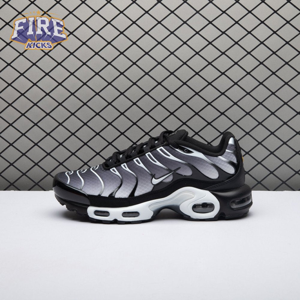 Nike Air Max Plus Black Silver White DM0032-003 Unisex
