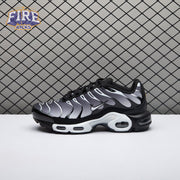 Nike Air Max Plus Black Silver White DM0032-003 Unisex