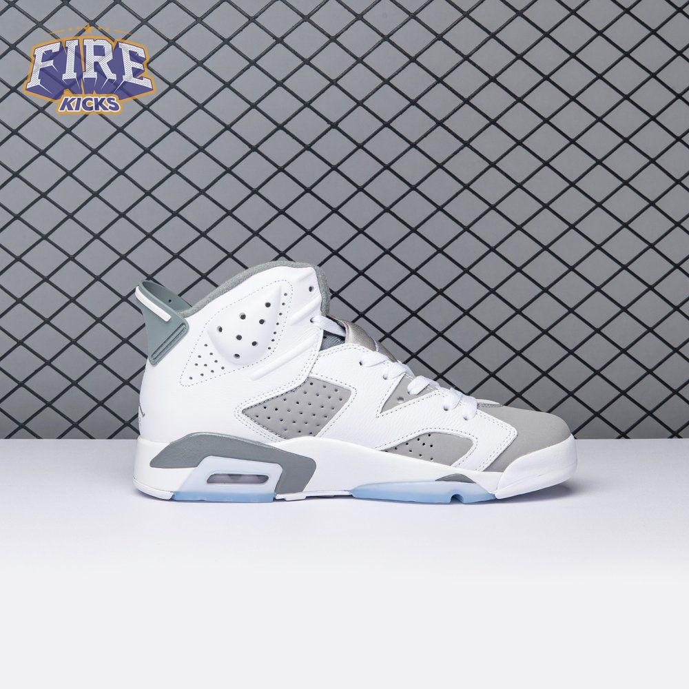 Air Jordan 6 Cool Grey CT8529-100 Men's