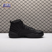 Air Jordan 12 retro CT8013-010 Men's
