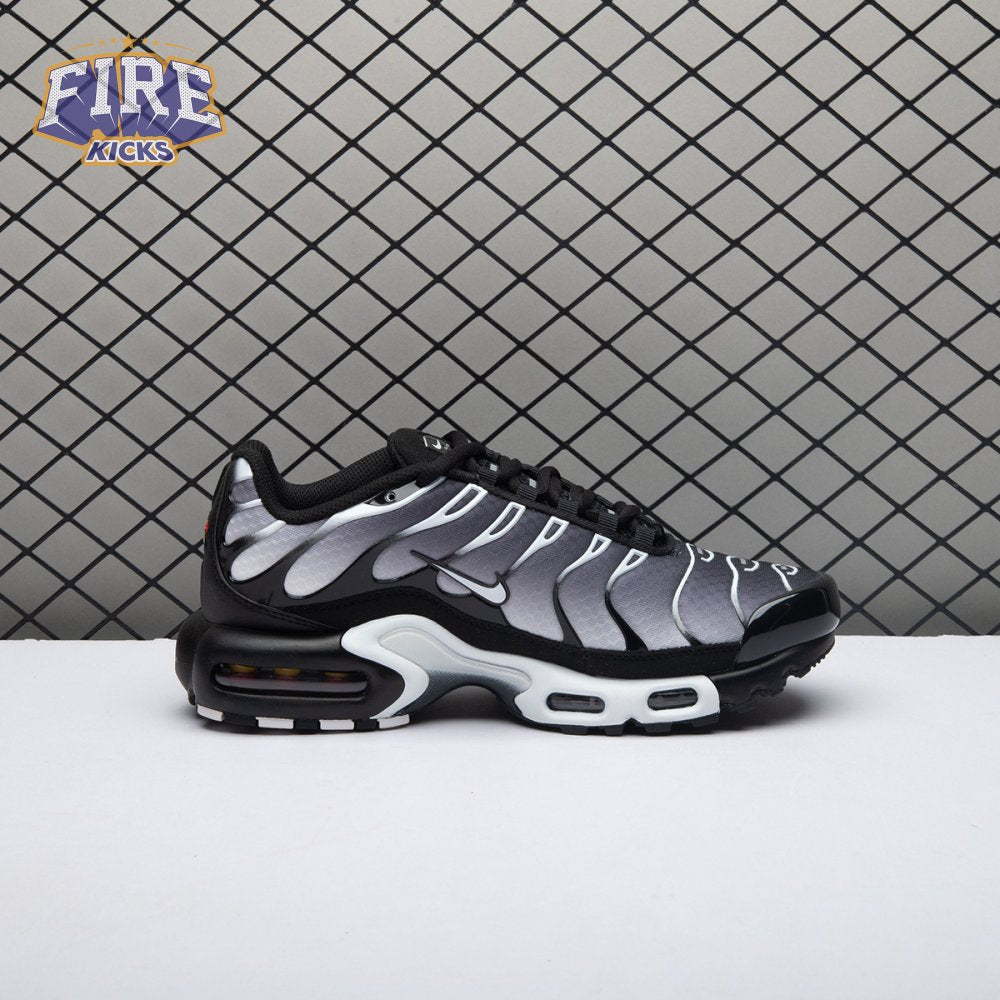 Nike Air Max Plus Black Silver White DM0032-003 Unisex