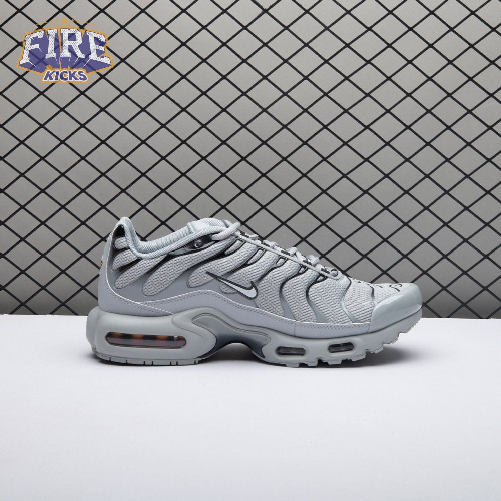 Nike Air Max Plus Wolf Grey 852630-021 Unisex
