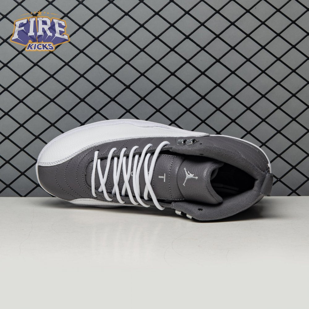 Air Jordan 12 "Stealth" CT8013-015 Men's