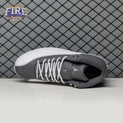 Air Jordan 12 "Stealth" CT8013-015 Men's