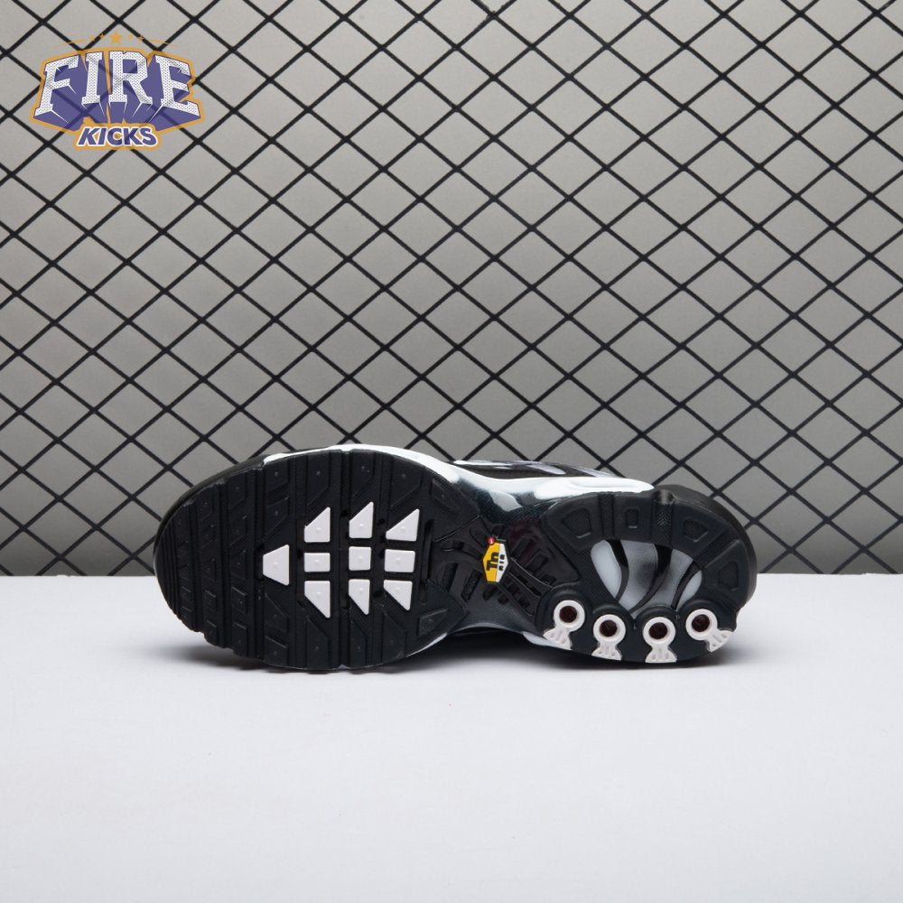 Nike Air Max Plus Black Silver White DM0032-003 Unisex