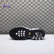 Nike Air Max Plus Black Silver White DM0032-003 Unisex