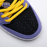 Dunk Low Pro SB 'ACG Terra' Unisex