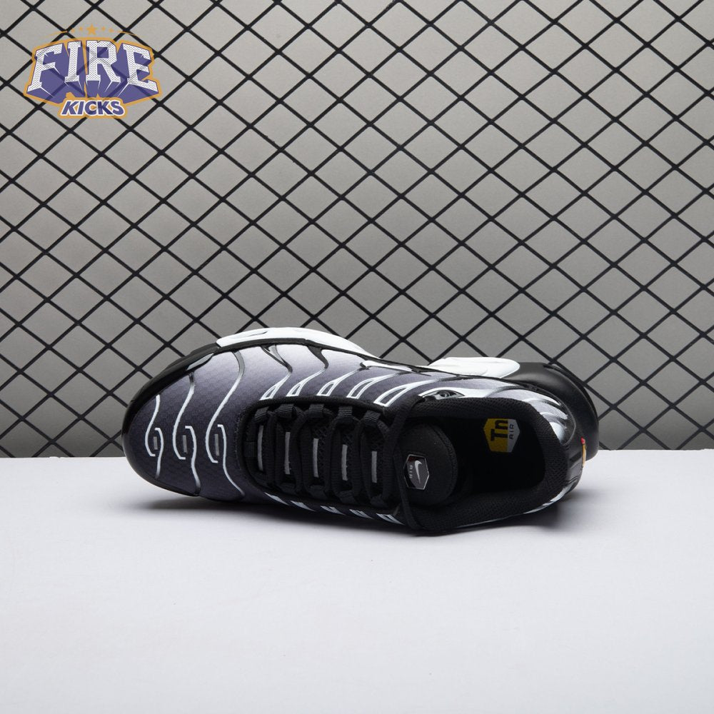 Nike Air Max Plus Black Silver White DM0032-003 Unisex