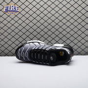 Nike Air Max Plus Black Silver White DM0032-003 Unisex