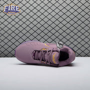Nike LeBron 21 Purple Rain FV2345-500/FV2346-500 Unisex