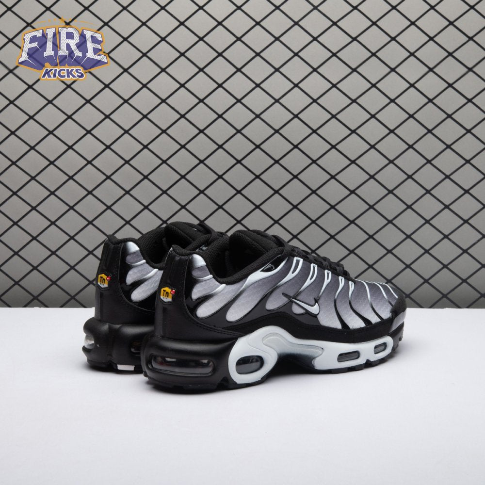 Nike Air Max Plus Black Silver White DM0032-003 Unisex