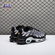 Nike Air Max Plus Black Silver White DM0032-003 Unisex