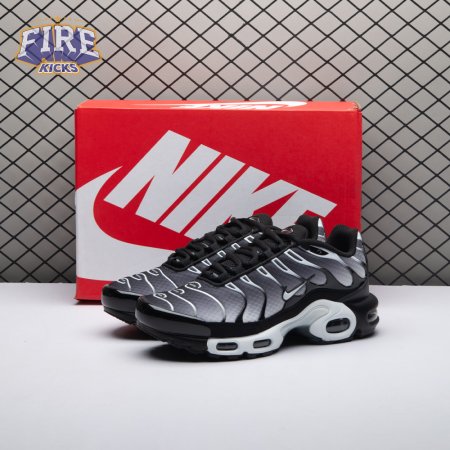 Nike Air Max Plus Black Silver White DM0032-003 Unisex